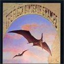 Dinosaur Swamps - CD Audio di Flock