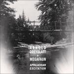 Appalachian Excitation - CD Audio di Arnold Dreyblatt