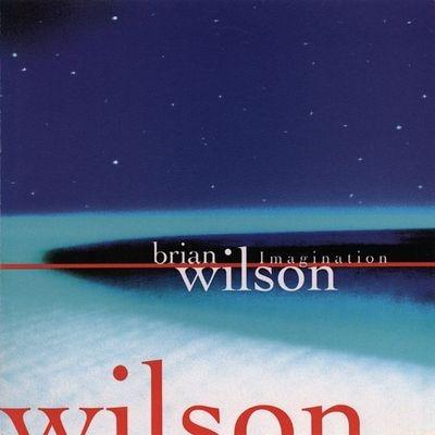 Imagination - Vinile LP di Brian Wilson