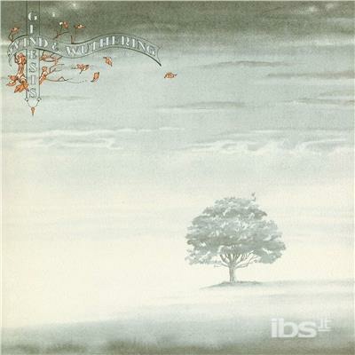 ibs