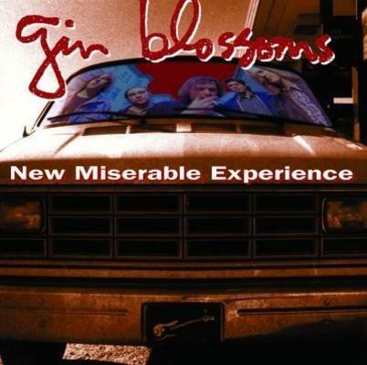 New Miserable Experience - CD Audio di Gin Blossoms