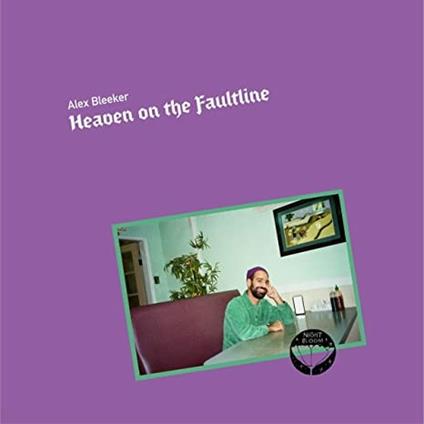 Heaven on the Faultline - Vinile LP di Alex Bleeker