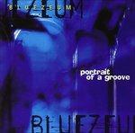 Portrait of Groove - CD Audio di Bluezeum