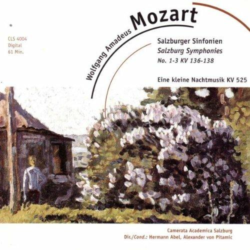 Salzburger Simfonien - CD Audio di Wolfgang Amadeus Mozart