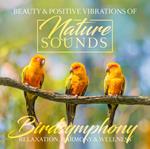 Birdsymphony