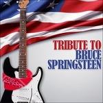 Tribute to Bruce Springsteen - CD Audio