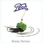 Buona fortuna - CD Audio di Pooh