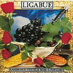 Lambrusco coltelli rose & pop corn - CD Audio di Ligabue