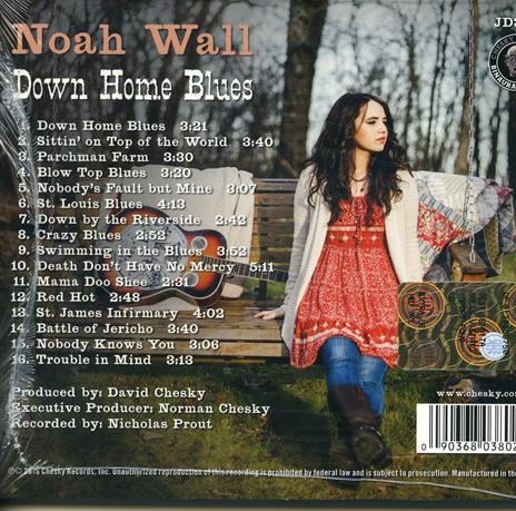 Down Home Blues - CD Audio di Noah Wall - 2
