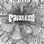 Cosmic Mind at Play - Vinile LP di Paisleys