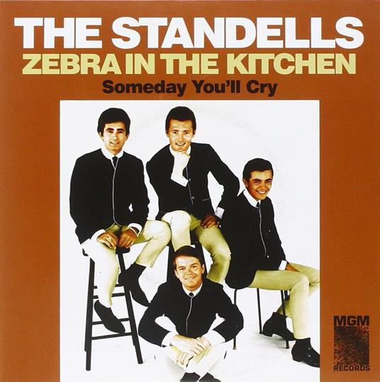 Zebra in the Kitchen - Someday - Vinile 7'' di Standells