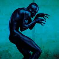 CD Human Being Seal