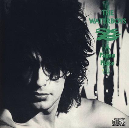 A Pagan Place - CD Audio di Waterboys
