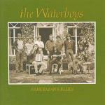 Fisherman's Blues - CD Audio di Waterboys