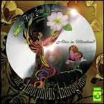 Alice in Ultraland - CD Audio di Amorphous Androgynous