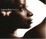 Djin Djin - CD Audio di Angelique Kidjo