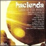 Loud Is the Night - CD Audio di Hacienda