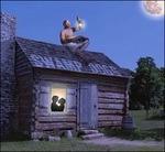 The White Man Made Me Do it - CD Audio di Swamp Dogg