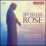 Spotless Rose. Inni alla Vergine Maria - SuperAudio CD ibrido di Phoenix Chorale
