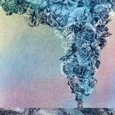 Carnation - Vinile LP di Daughn Gibson