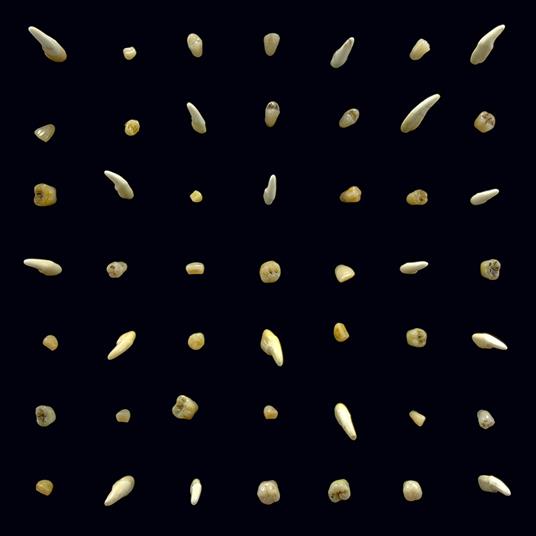 Visions of Bodies Being Burned - CD Audio di Clipping