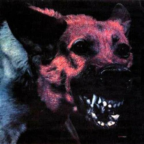 Under Color of Ufficial Right - CD Audio di Protomartyr