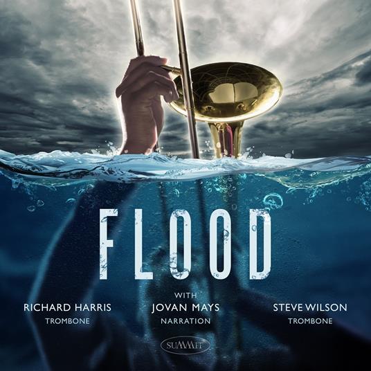 Flood - CD Audio di Steve Wilson