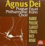 Composizioni di Barber, Poulenc, Slavicky, Novak, R.strauss, Bach - CD Audio