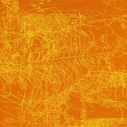 Mnemonic Induction - Vinile LP di Yen Pox & Troum