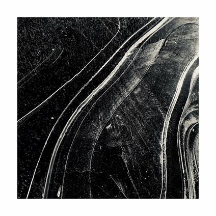 Cathedral - Vinile LP di Lou Rogai