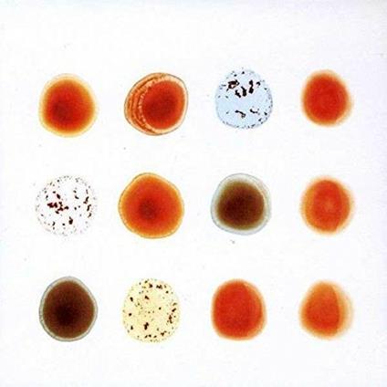 Scratch My Back - CD Audio di Peter Gabriel