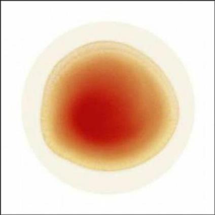 The Book Of Love - Vinile 7'' di Peter Gabriel