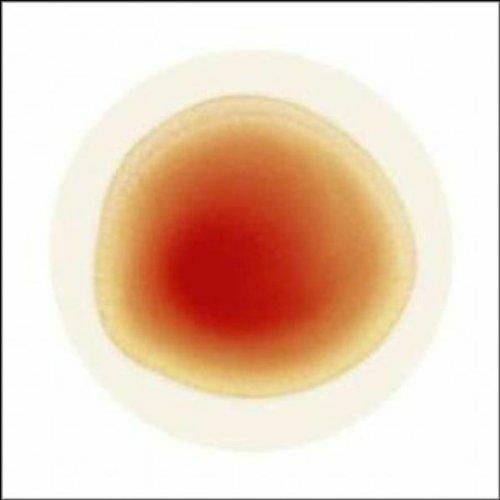 The Book Of Love - Vinile 7'' di Peter Gabriel