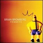 It Is What it Is - CD Audio di Brian Bromberg