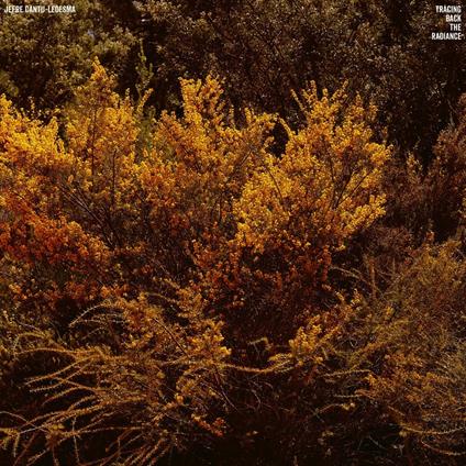 Tracing Back the Radiance - Vinile LP di Jefre Cantu-Ledesma