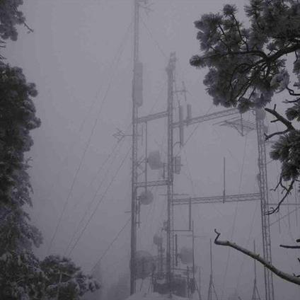 On Hold (Blue Coloured Vinyl) - Vinile LP di Photay