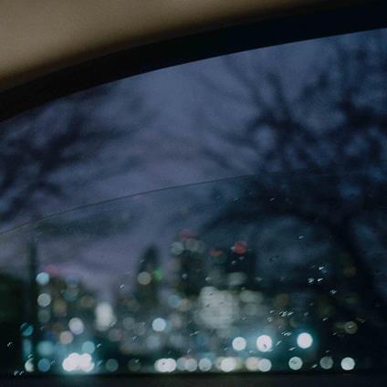 Natural Wonder Beauty Concept - Vinile LP di Natural Wonder Beauty Concept