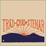 Trad Gras Och Stenar