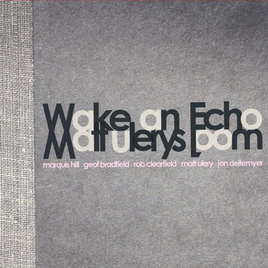 Wake an Echo - CD Audio di Matt Ulery