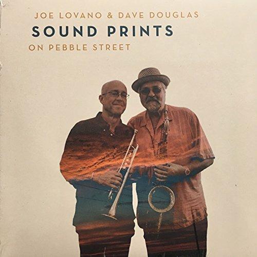 On Pebble Street (Coloured Vinyl) - Vinile LP di Joe Lovano,Dave Douglas