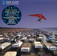 A Momentary Lapse of Reason (Remixed & Updated) (2 LP)
