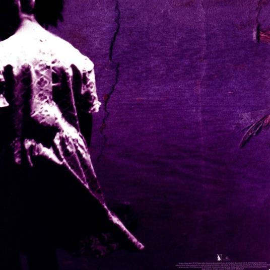 Riceboy Sleeps (Analogue Remaster) - Vinile LP di Jonsi & Alex - 2