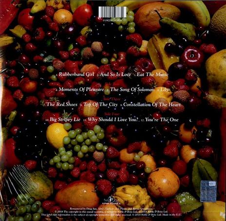 The Red Shoes - Vinile LP di Kate Bush - 2