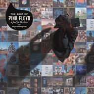 A Foot in the Door. The Best of Pink Floyd