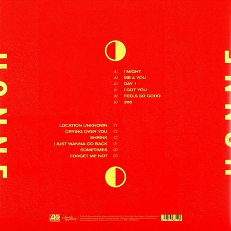 Love Me Love Me Not - Vinile LP di Honne - 2