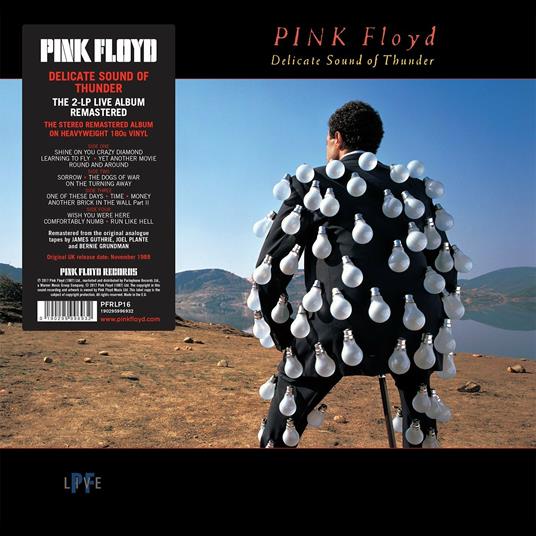 Delicate Sound of Thunder - Pink Floyd - Vinile