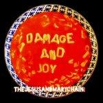 Damage and Joy - CD Audio di Jesus and Mary Chain