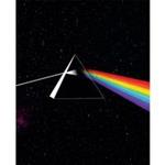 Dark Side of the Moon