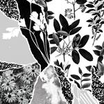 Mon Herbier Du Monde E...