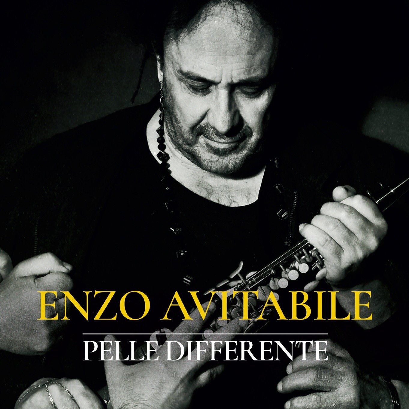 MUSICA MUSICA PERUGIA